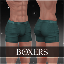 ˗ˏˋ ꒰ " Boxers " ꒱ ˎˊ˗