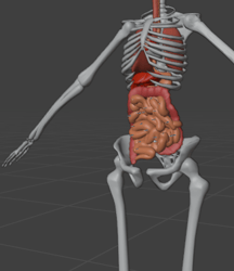 Organs