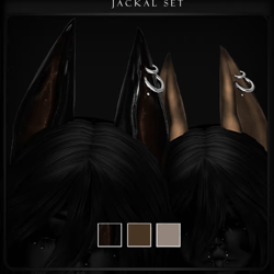 3 ⋆ | DOBERMAN EARS | RIGGED | VRCHAT ASSET
