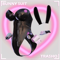 Latex Bunny Suit