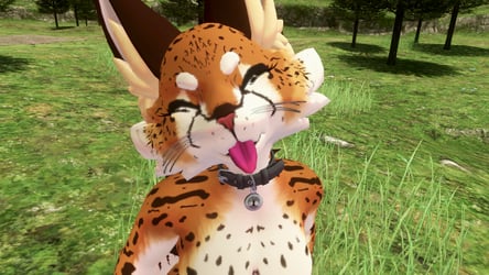 Serval NovaBeast Texture