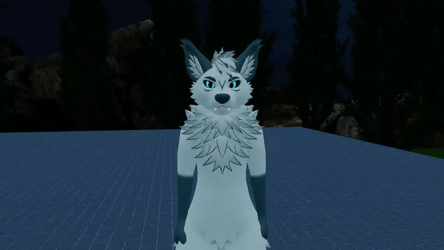 Azerin Adoptable