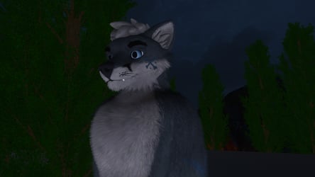 Daxon Adoptable