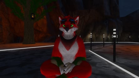 North Adoptable