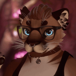 Framed Glasses for Winterpaw Feline