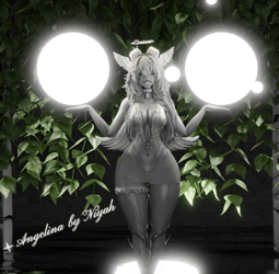 ♡ Aηgєℓιηα ♡