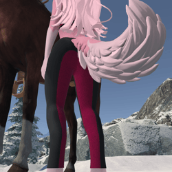 Riding Jodhpurs - Winterpaw FemCanine