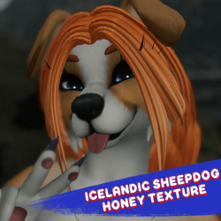 Icelandic sheepdog texture for Foxipaws' Honey