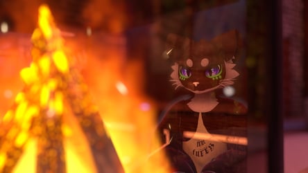 True Furry Star Collection
