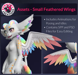 Kuda's Assets - Small Feathered Wings