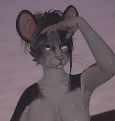 Mimi (Foxipaws Pepper Texture)