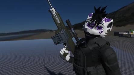 R-63CS Diligence Counter Sniper