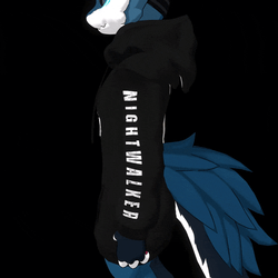 TwoTone Streetwear Hoodie for Novabeast
