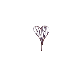 Chocolate Heart