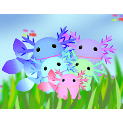 墨西哥鈍口螈(六角恐龍)Mexican axolotl (hexagonal dinosaur)
