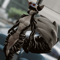 Cookie - Viwi Texture