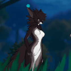 Umbra - Maned wolf lady