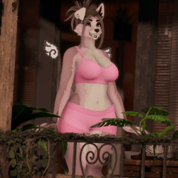 Lola - Foxipaws Roxy
