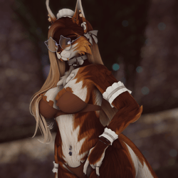 Stella - Nyx Foxipaws