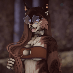 Valentin - Nyx Foxipaws