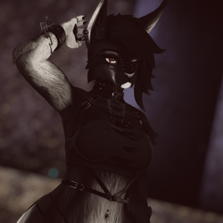 Luciana - Nyx Foxipaws