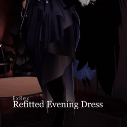 ExRex Refitted Evening Dress 