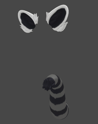 Raccoon Parts