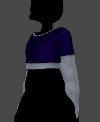 Layered Croptops - - made for Biscotti