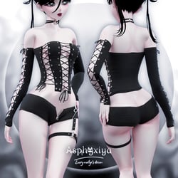 Leather Lace Corset