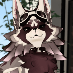 Hazel/Scout Raccoon Novabeast Texture