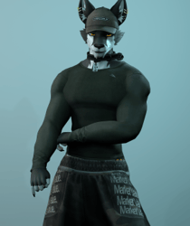 Kova PC/FT
