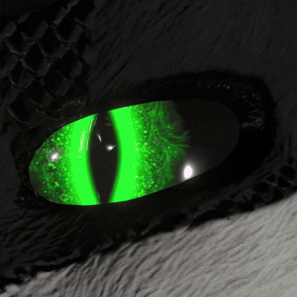 Rexouium Eye Textures