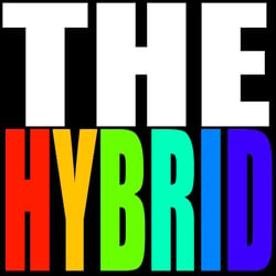 Hybrid V2.3.1