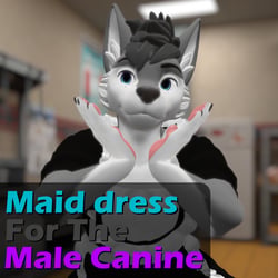 Maid dress for the Male Canine