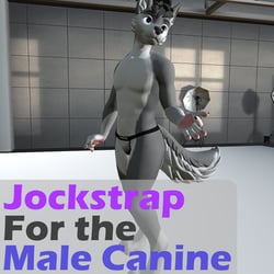 Jockstrap for the Male Canine