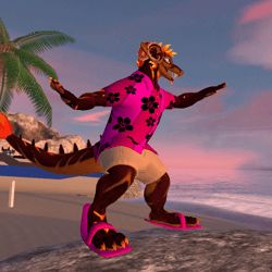 ZDragon Hawaii Style Outfit