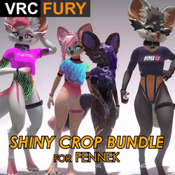 Fennek Shiny Crop + Accessories 