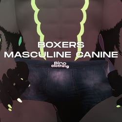 Boxers for Masculine Canine