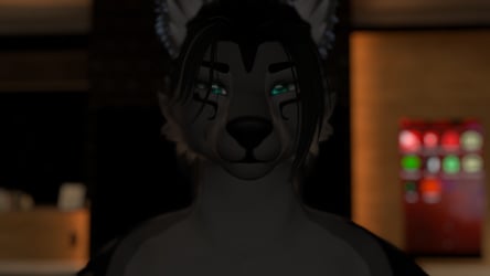 Polio - Foxipaws Dante Retexture