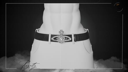 VW Belt