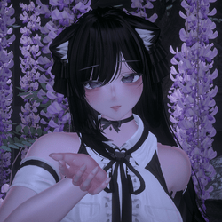 Laura PC, Quest FT