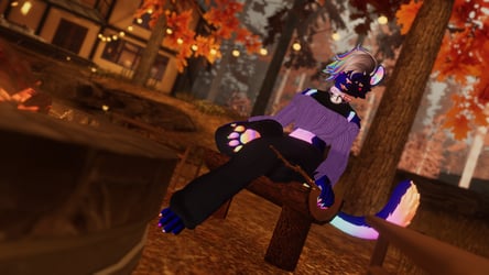 LeGato Cozy Autum