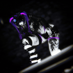 ☾︎𝑵𝑶𝑽𝑨☽︎ (PC+Q/SFW/GOGO)
