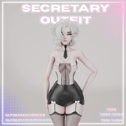 Secretary Outfit