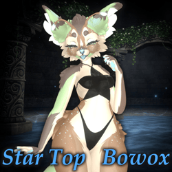 Star Top DLC for Bowox