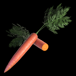 Carrot with physbones