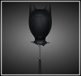 THE PRETTY KITTY SET