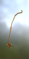 Spider Ear Chain