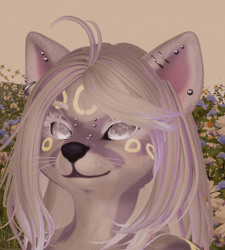 Angelic Wish Meeko