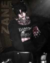 Zane PC | VRCFT